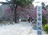 今帰仁城跡